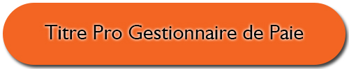 titreproGestionnairePaie.jpg