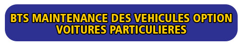 btsmvvp