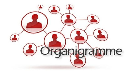 organigramme